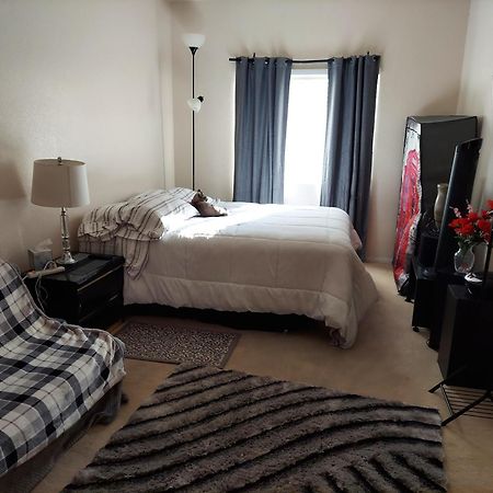 Catmosphere Las Vegas Room photo